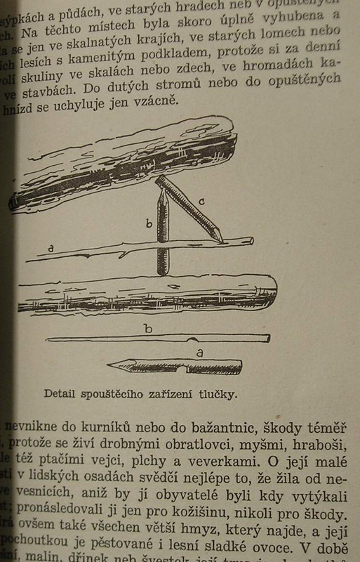 1 WECKO 259