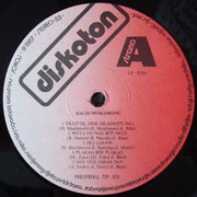 [Slika: Halid_Muslimovic_1988_1_s_A.jpg]