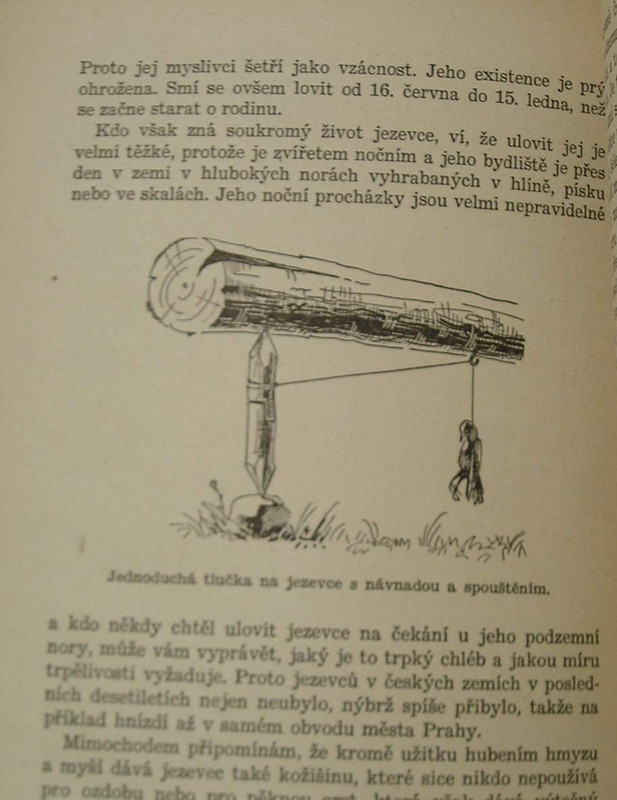 1 WECKO 257