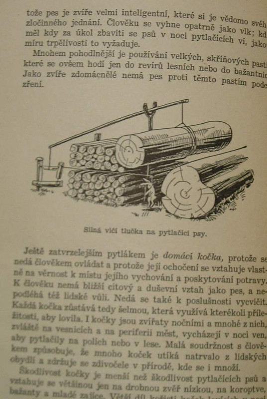 1 WECKO 231