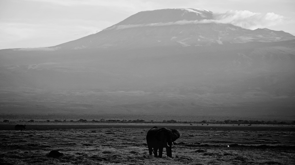 Mis días de safari en Uganda, Kenia y Zanzíbar.. Os lo intento contar - Blogs de Africa Este y Centro - Parque Amboseli, el sitio de los elefantes (1)
