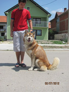 Slika