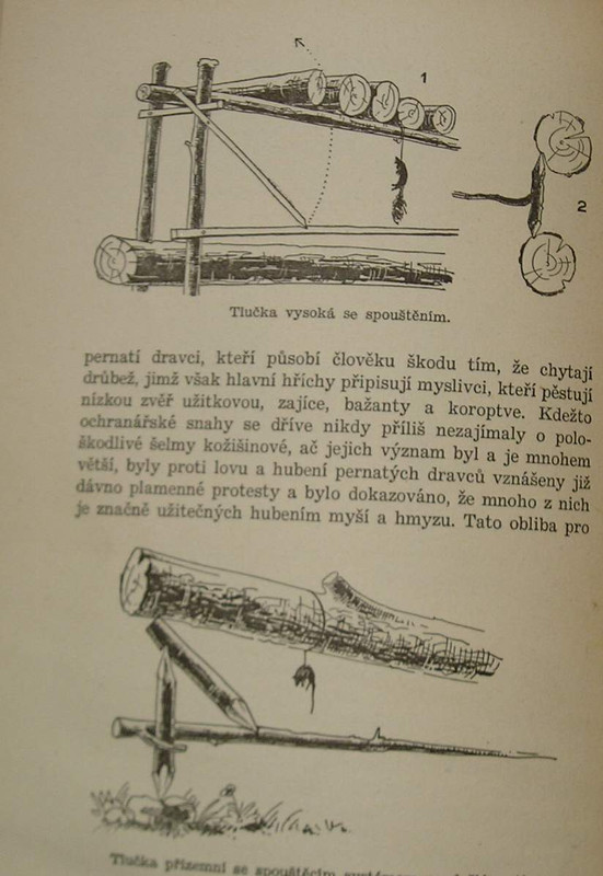 1 WECKO 226