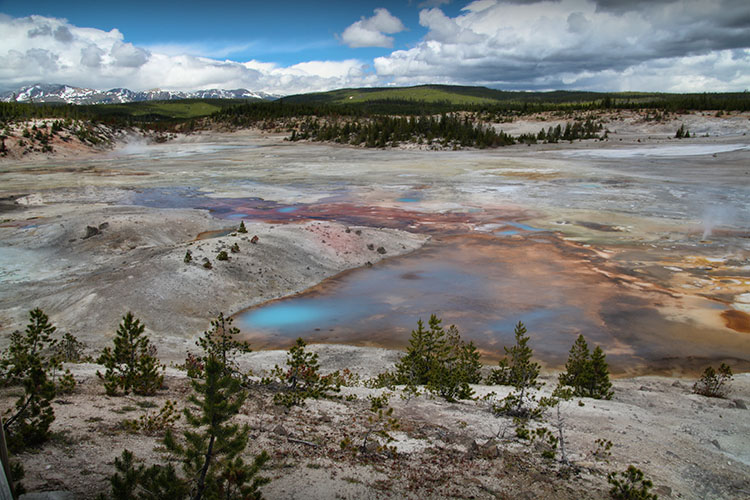 DIA 16: Yellowstone - 18 días por la Costa Oeste de Estados Unidos: un sueño hecho realidad (13)