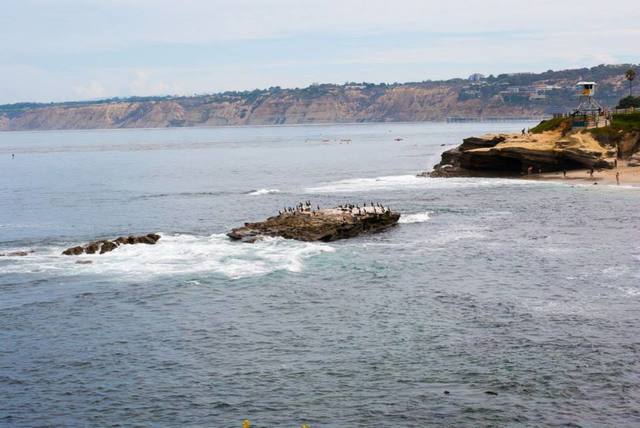Mi aventura americana: Costa Oeste 2013! - Blogs de USA - San Diego en familia (11)