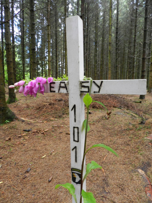 Una humilde cruz honra a los caídos en este bosque