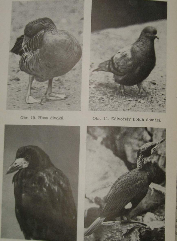 1 WECKO 221