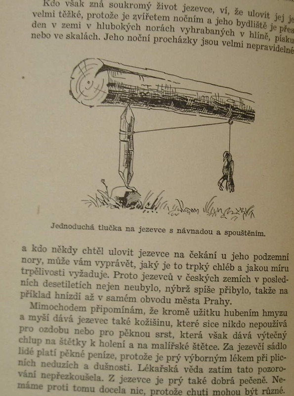 1 WECKO 232