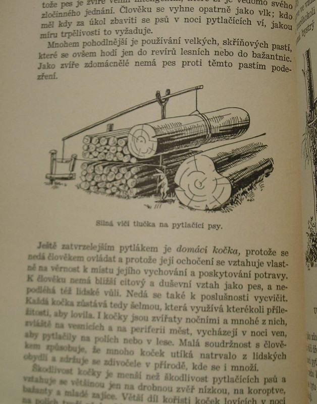 1 WECKO 256