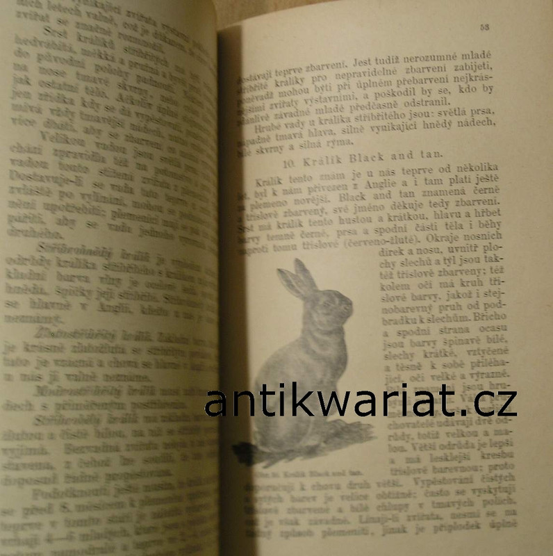 1wa Image00035