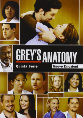 Grey's Anatomy - Stagione 5 (2008-2009) 6xDVD9+1xDVD5 COPIA 1:1 ITA-ENG-ESP