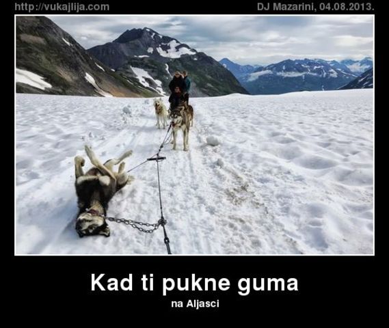 Slika