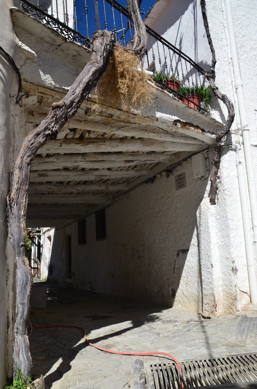 PAMPANEIRA-10-3-2017-GRANADA - Los pueblos más bonitos de España-2010/2023 (32)
