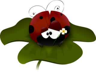 ladybug-48082_960_720