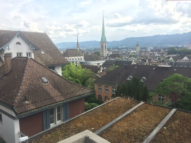 Suiza en coche 9 días, recomendadísimo ir! - Blogs de Suiza - Día1: Zurich 23.7.16 (13)