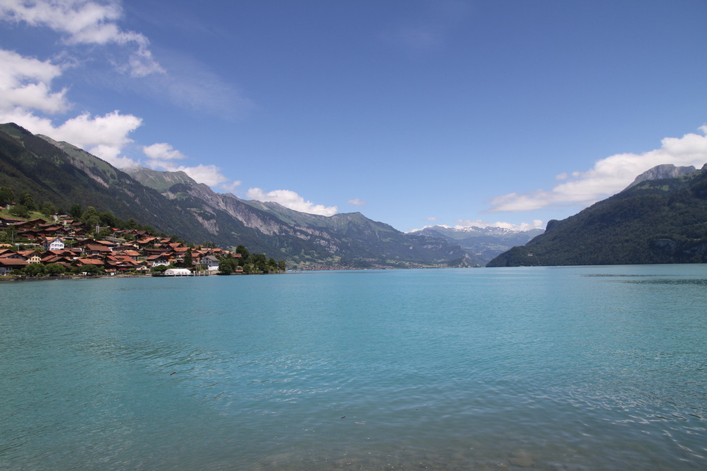REPETIMOS SUIZA Y DESCUBRIMOS OTRAS BELLEZAS DE FRANCIA - Blogs de Suiza - THUN- LAGO DE BRIENZ- SUBIDA AL NIEDERHORN (7)