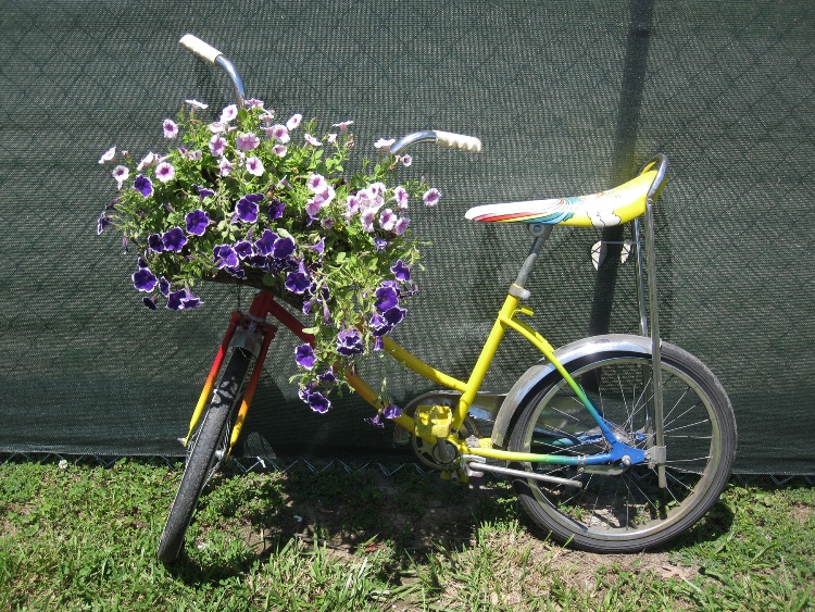bicycle_garden_3_300