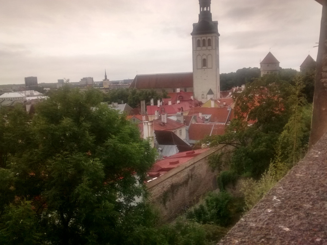 Riga-Tallin-San Petersburgo-Moscu-Riga en julio/agosto 2016 - Blogs de Rusia y Ex URSS - Tallin 28.07.2016 (10)