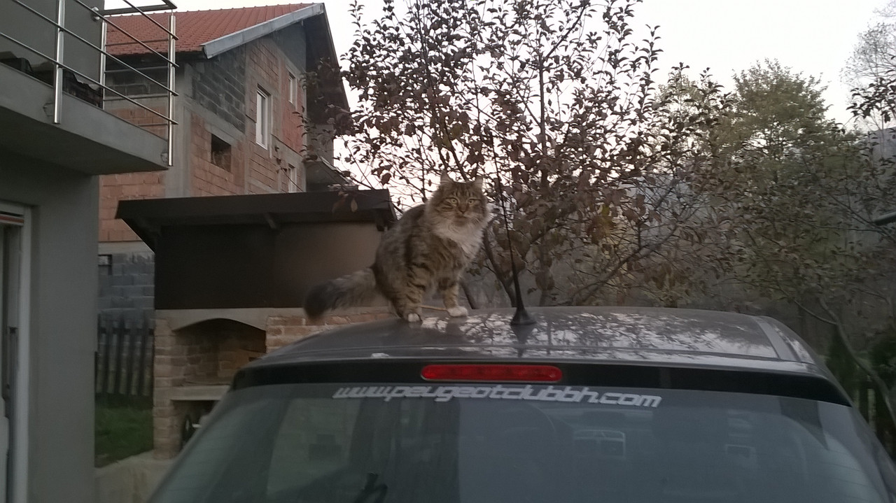 slika